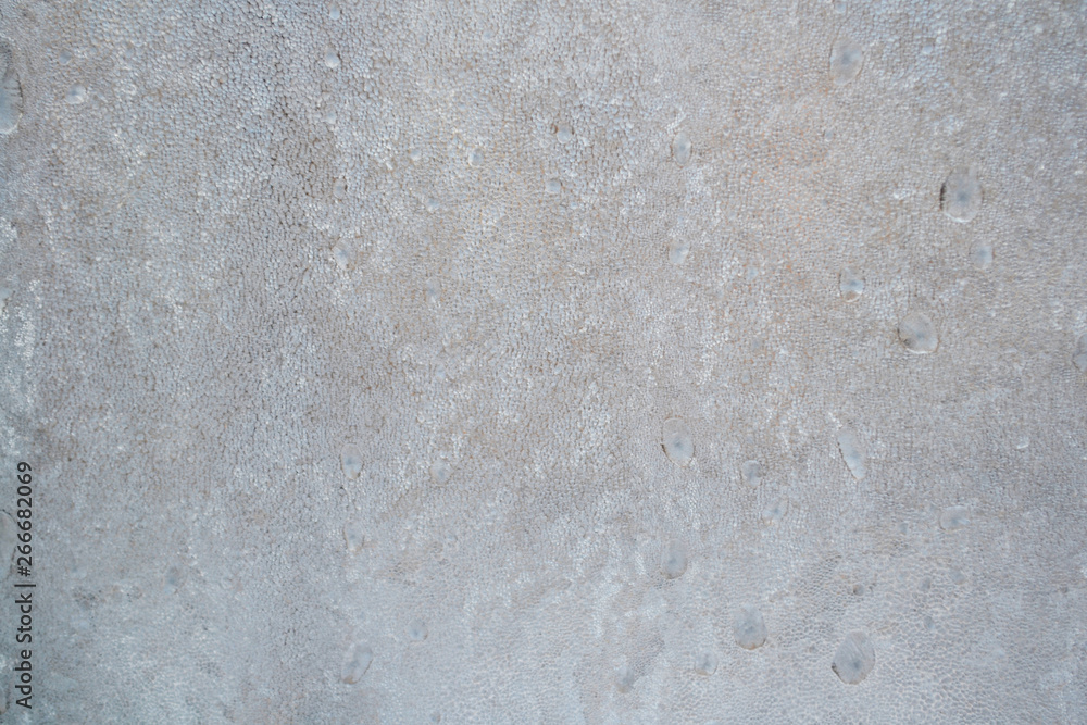 Gray dramatic depressive abstract background. Rime on glass, frozen window Gray dramatic depressive abstract background. Rime on glass, frozen window