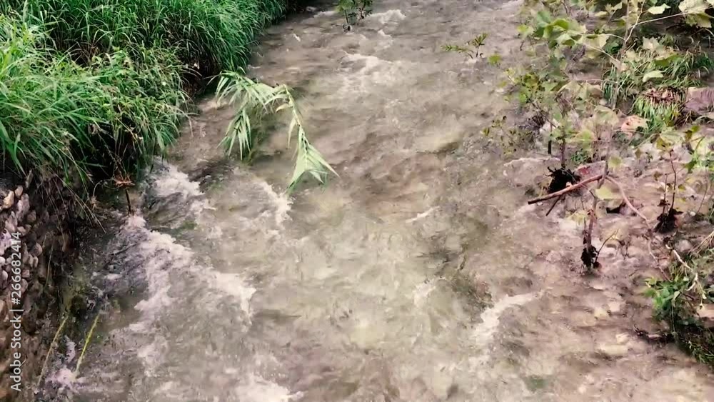 Strong water run thru the river in the forest outdoor park Strong water run thru the river in the forest outdoor park
