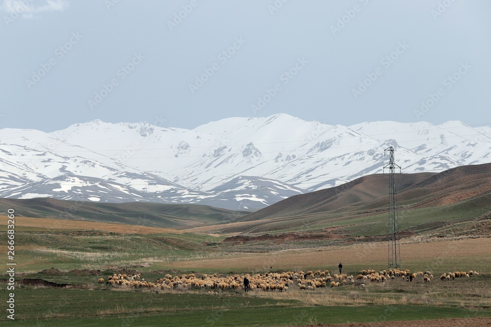 Mountain village in Hakkari plateau .turkey