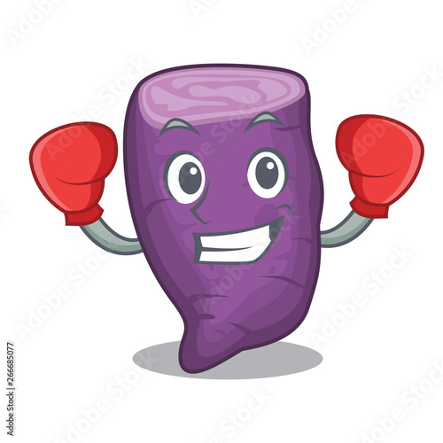 Boxing purple sweet potato isolated with character