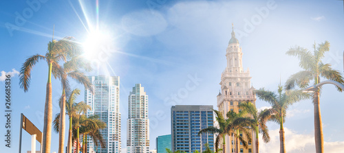 Palms and buildings of Downtown Miami © jovannig