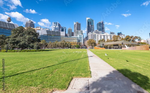 SYDNEY, AUSTRALIA - AUGUST 19, 2018: City skyscrapers from a beautiful park on a sunny day. Sydney attracts 15 million tourists annually