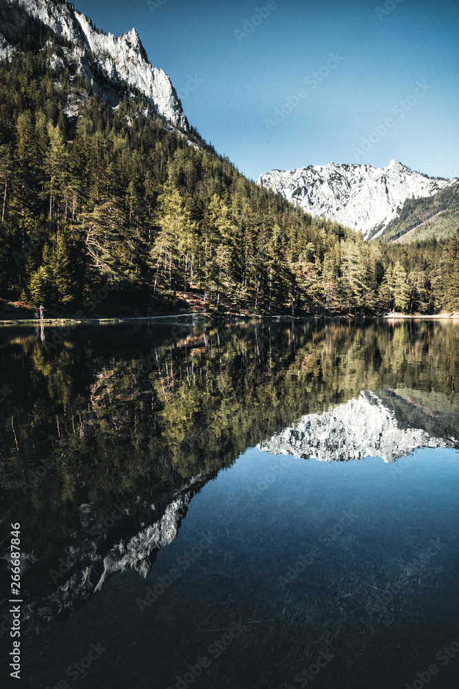 Obraz premium Fantastic azure alpine lake grüner see in austria during spring