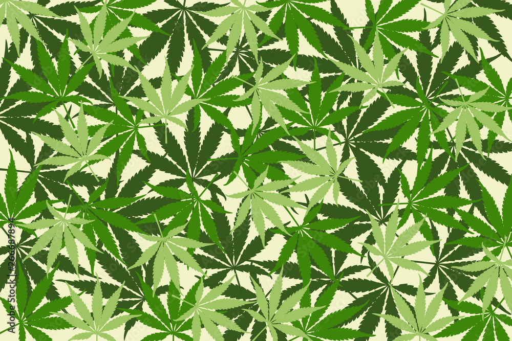 leafs of cannabis background,abstract background