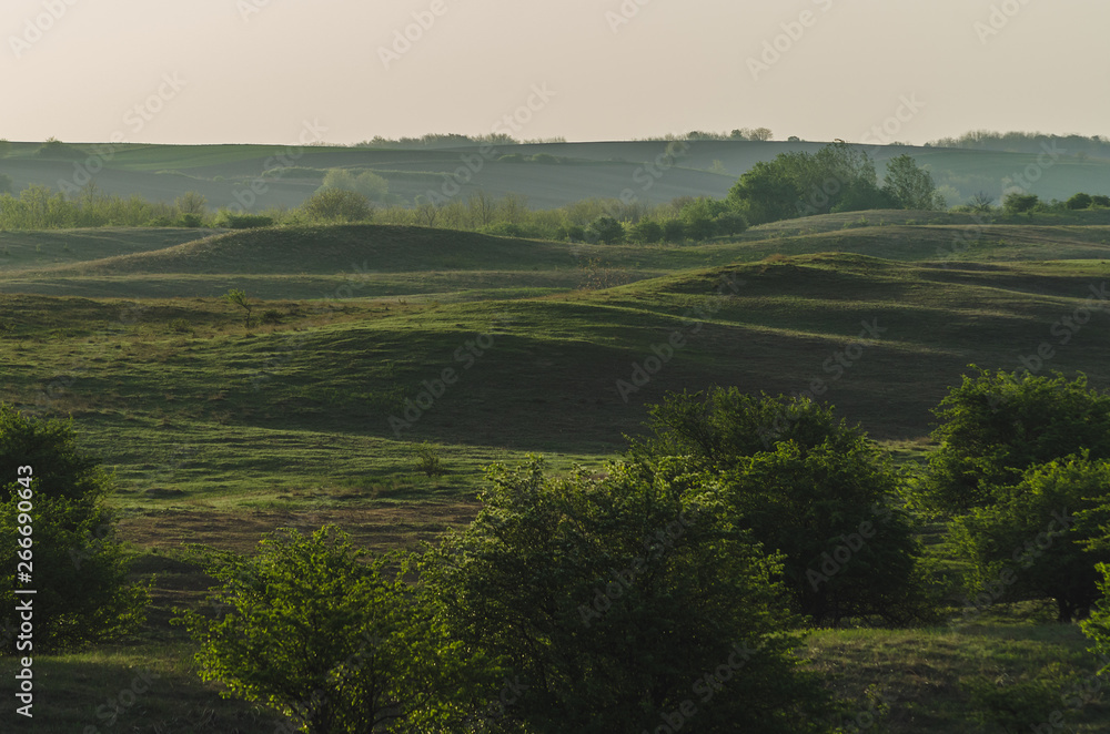Obraz premium Hilly green meadow landscape in the early morning light