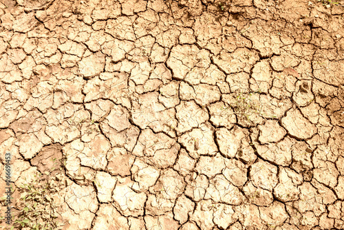 Cracks in the dry soil, drought concept