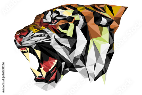 Polygones Tigre