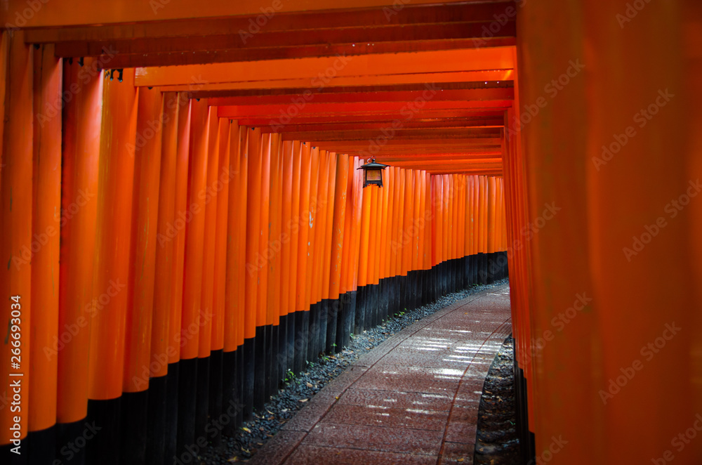 Fototapeta premium Red Tori Gate at Fushimi Inari Shrine in Kyoto, Japan