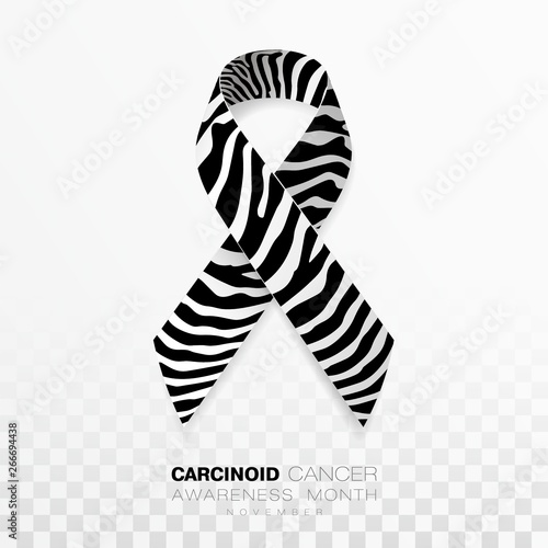 Carcinoid Cancer Awareness Month. Zebra Stripe Color Ribbon Isolated On Transparent Background. Vector Design Template For Poster.