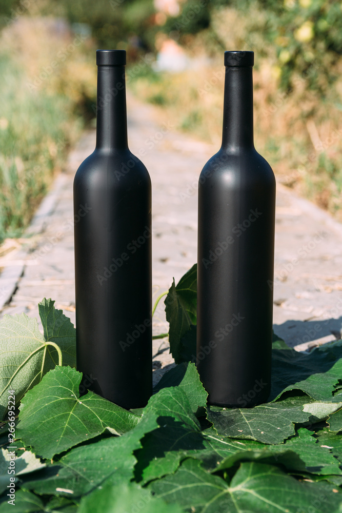 two bottles stand on green vine leaves on a rural road, private vineyards. natural drink. wine two bottles stand on green vine leaves on a rural road, private vineyards. natural drink. wine