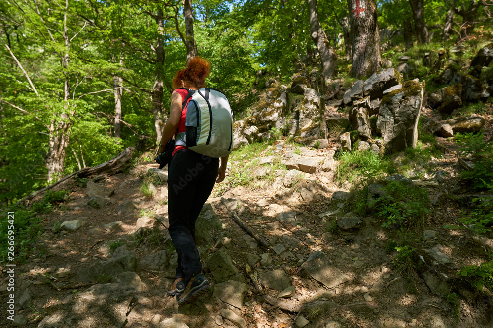 Woman hiking in the forest