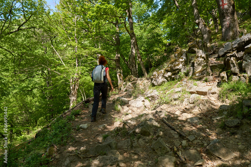 Woman hiking in the forest