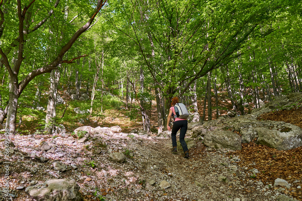 Obraz premium Woman hiking in the forest