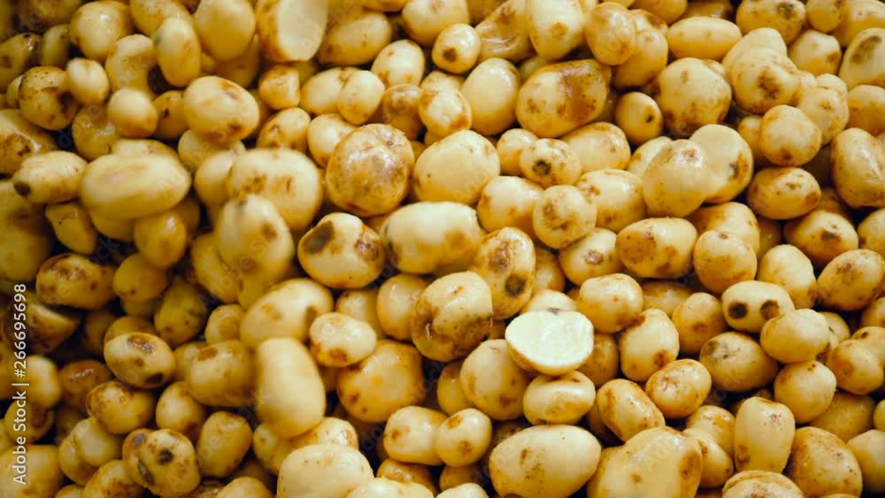 A pile of cleaned potatoes in increasing with new ones falling into it A pile of cleaned potatoes in increasing with new ones falling into it