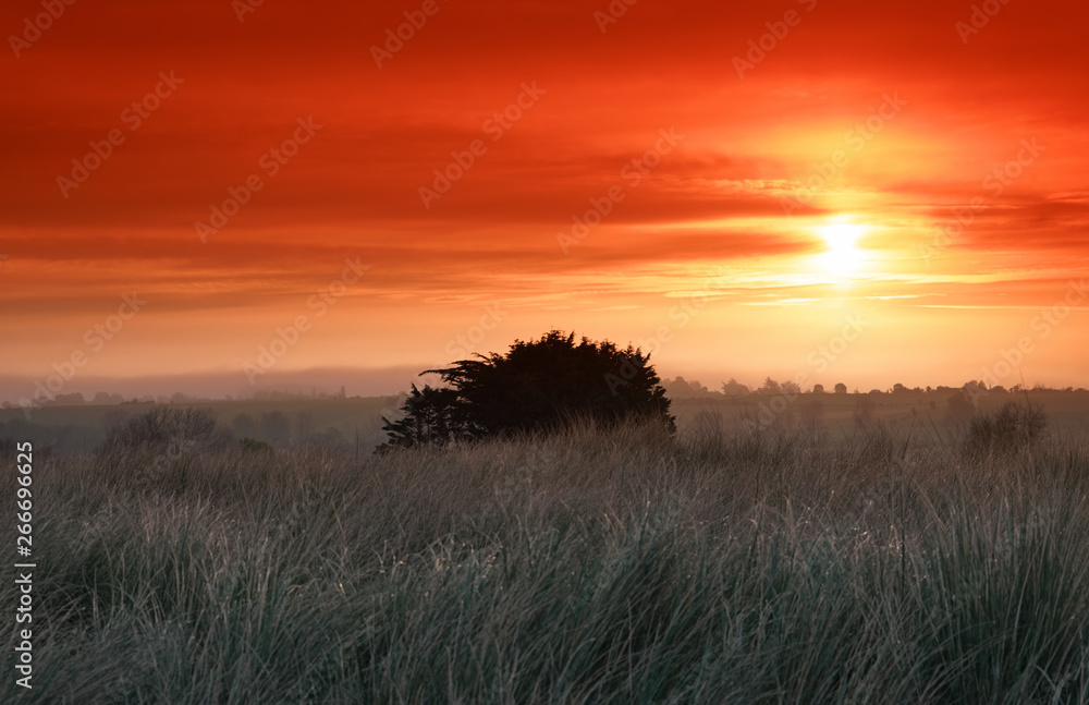 Fototapeta premium Sailbush of the Sienne bay in Normandy coast