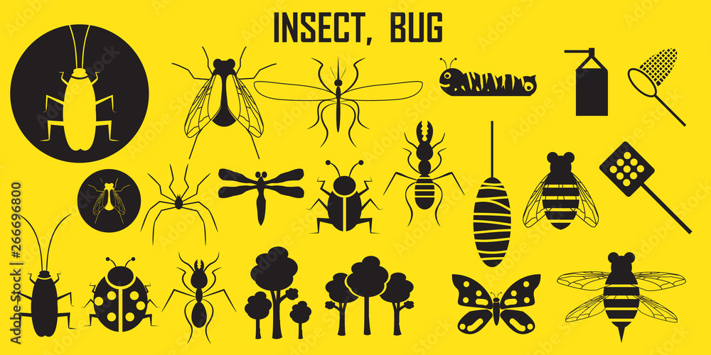 fly, dragonfly, cockroach, set icon vector