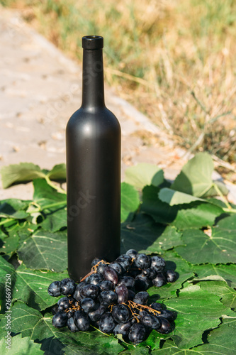 bottle of wine stands against the green leaves of the vineyard. vine. natural drink, private vineyards. natural drink, private vineyards grapes are nearby standing on the road in the countryside