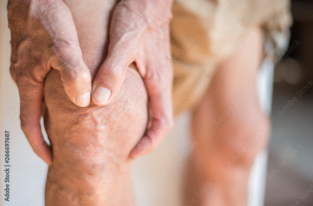 Fototapeta premium The knee of the elderly with muscle inflammation and bone degene
