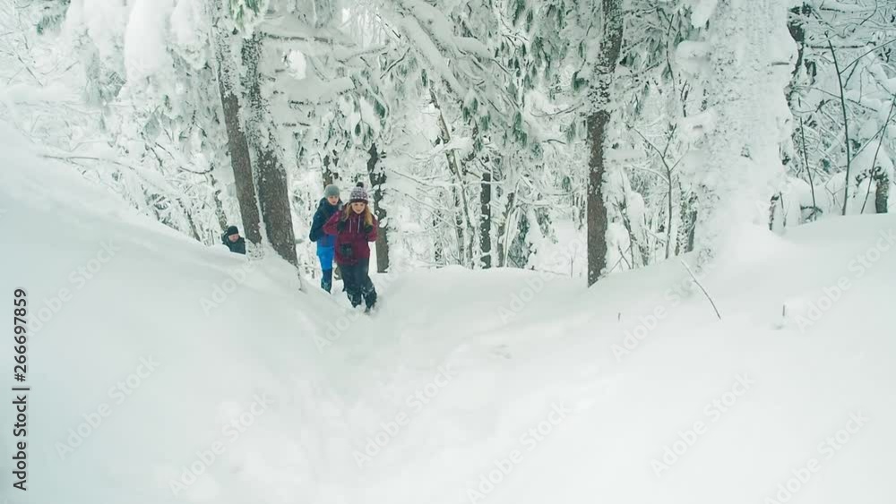 Family hiking in winter forest, beautiful snow landscape. Travel together concept: senior parents trekking with their children during winter vacation. Hikers People backpackers walk winter landscape Family hiking in winter forest, beautiful snow landscape. Travel together concept: senior parents trekking with their children during winter vacation. Hikers People backpackers walk winter landscape