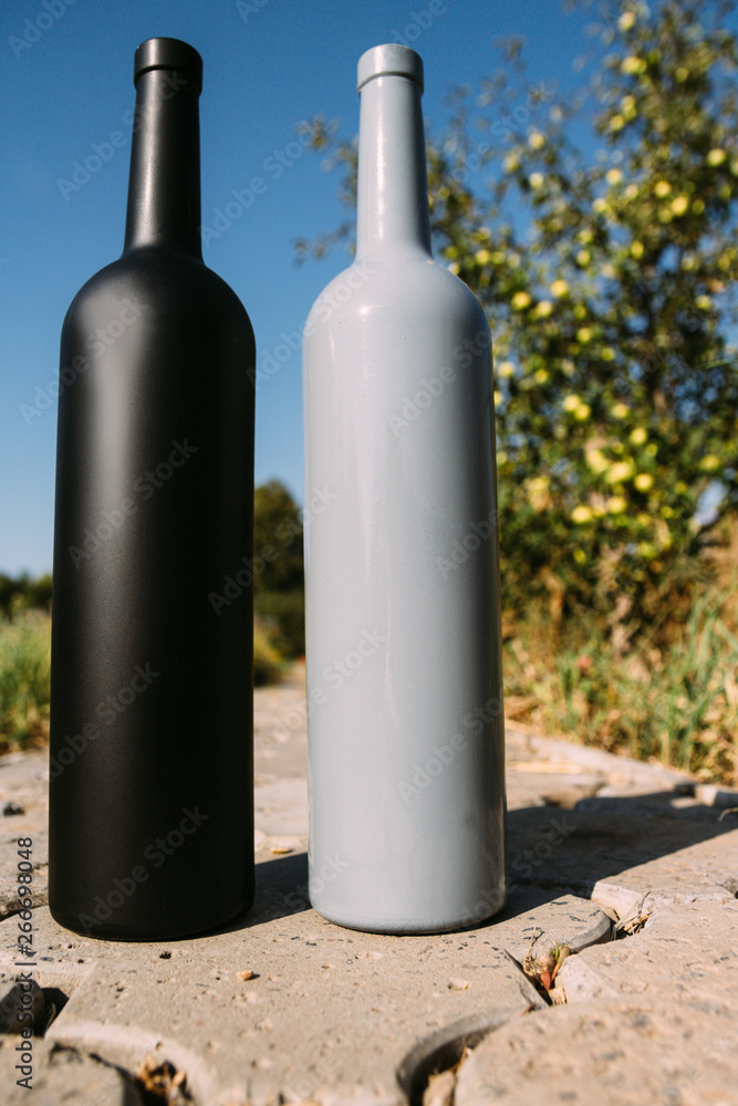 two black and gray bottles on the road from the tiles, the village, rural alcoholism, drunkenness. alcoholic illness. wine natural drink. wine two black and gray bottles on the road from the tiles, the village, rural alcoholism, drunkenness. alcoholic illness. wine natural drink. wine