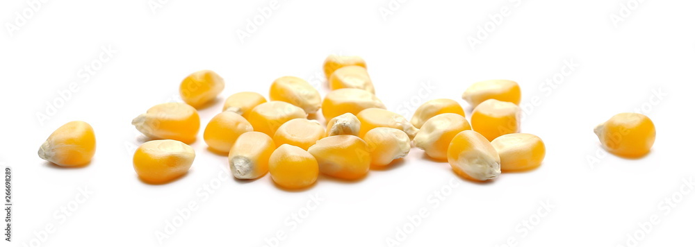 Raw corn kernels isolated on white background Raw corn kernels isolated on white background