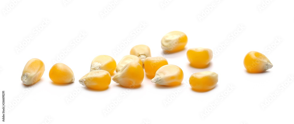 Raw corn kernels isolated on white background Raw corn kernels isolated on white background