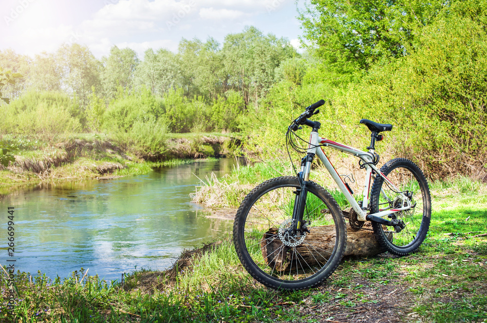 Bicycle is lying on the grass by the river in summer