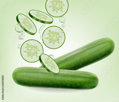 Cucumber Vector realistic. Fresh tasty slices vegetable detailed 3d illustrations