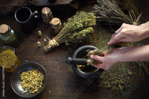 Canvas Print Homeopathy and herbal medicine