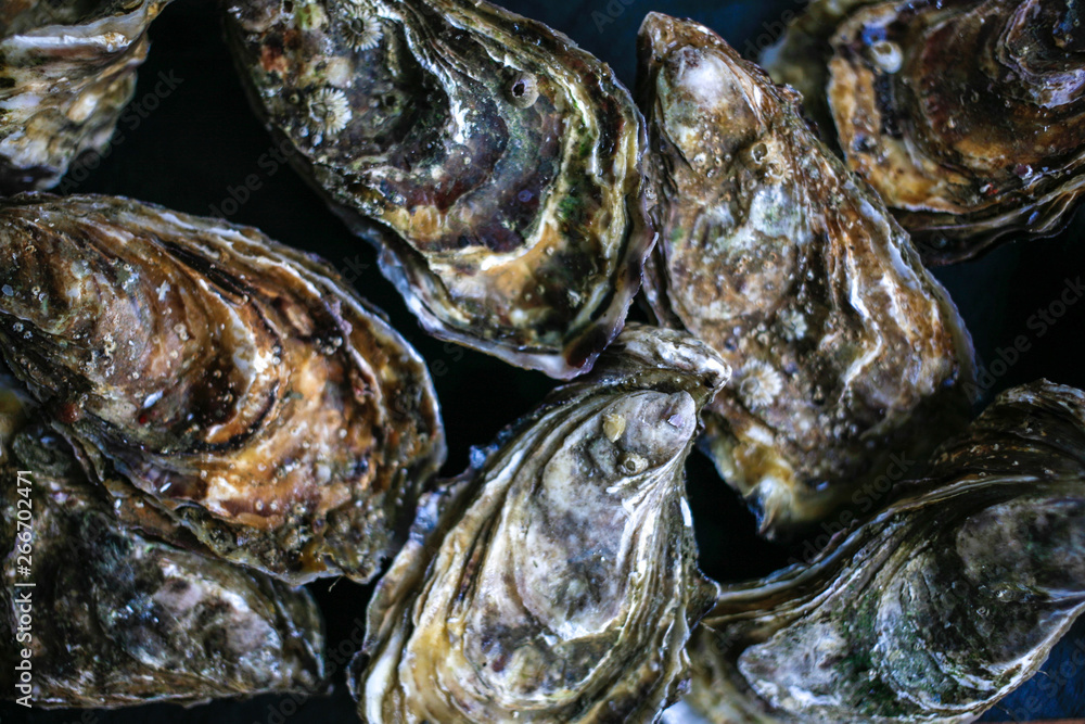 Fresh closed oysters from Cancale on black background top view Fresh closed oysters from Cancale on black background top view