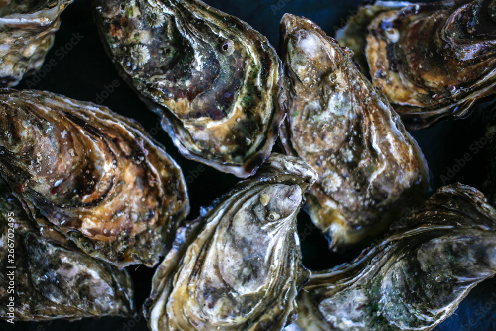 Fresh closed oysters from Cancale on black background top view Fresh closed oysters from Cancale on black background top view