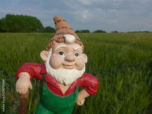 Funny garden gnome in front of a green cornfield (not copyrighted)