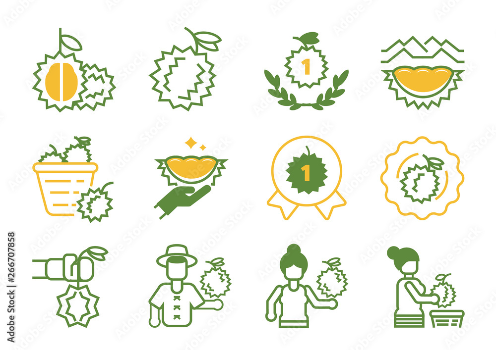Fototapeta premium premium quality durain icon design