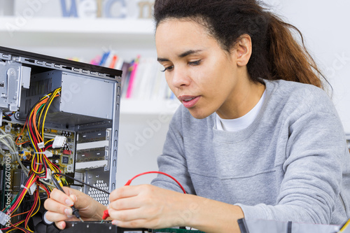 Wallpaper Mural young woman fixing a computer Torontodigital.ca