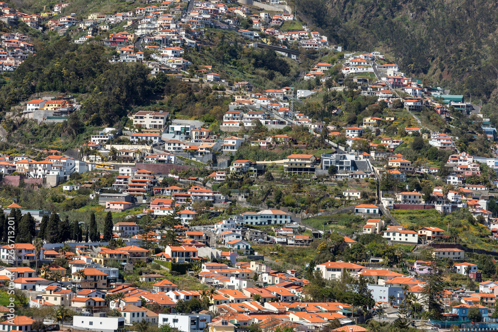 Fototapeta premium Typical terrace architecture on the steep slopes of Funchal on the Madeira island. Portugal