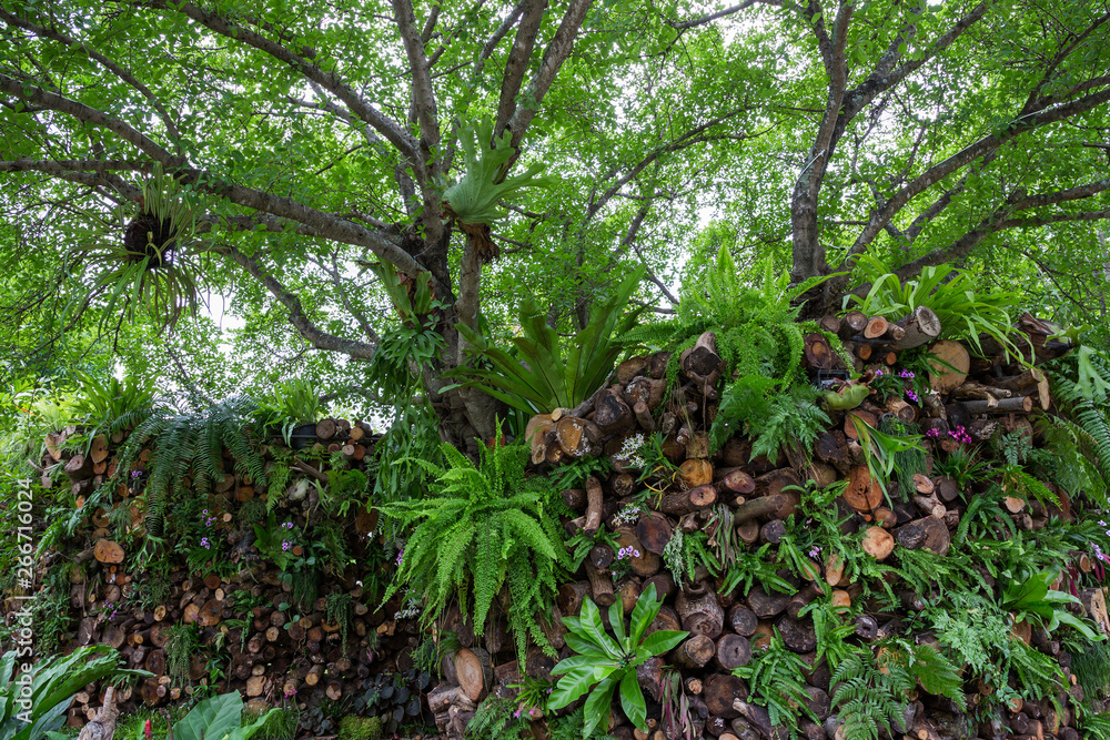 Vertical garden that harmonizes nature in the park. Vertical garden that harmonizes nature in the park.