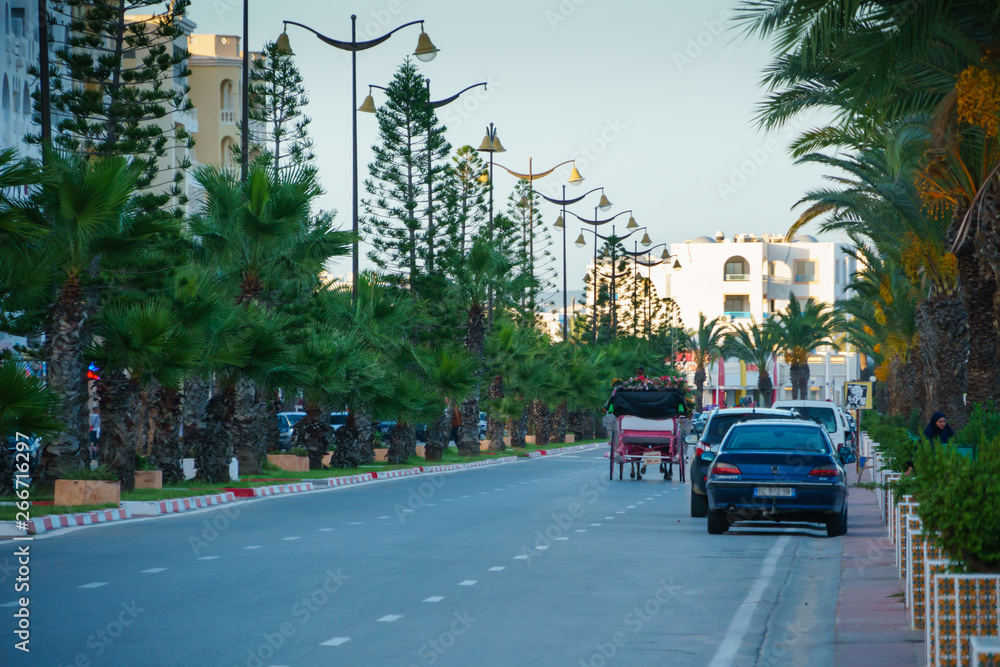 Street in Tunisia Hammamet Tunisia