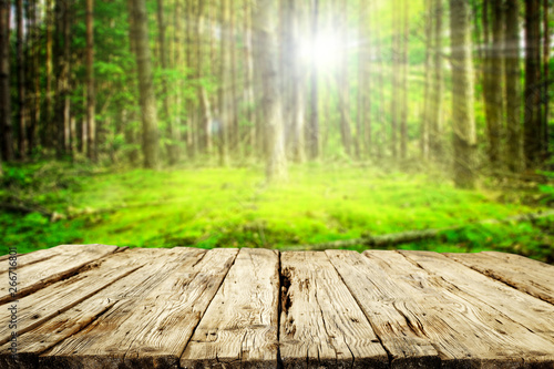 Table background of free space for your decoration and summer forest background 