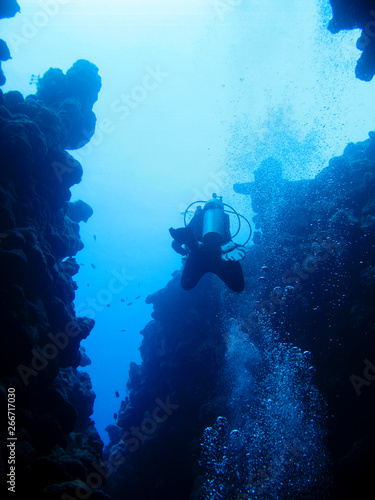 At the bottom of an underwater canyon in Dahab, Egypt