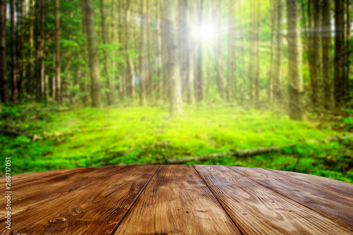 Table background of free space for your decoration and summer forest background 