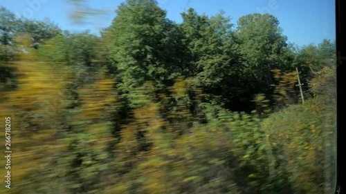 View from window of moving train passing by autumn forest with yellow and green trees on bright sunny day