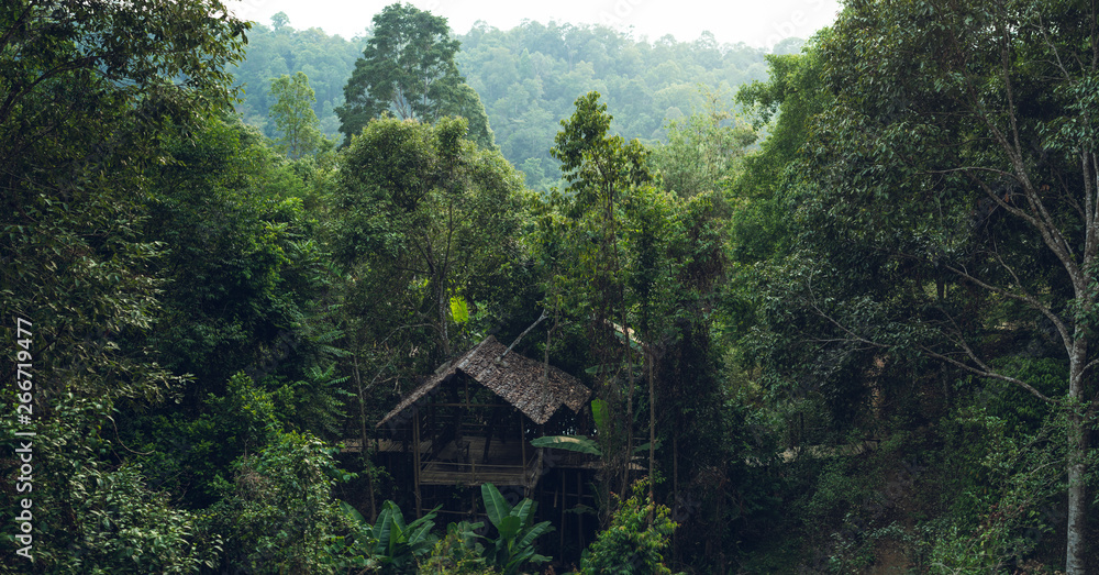 Wooden hut in the forest 