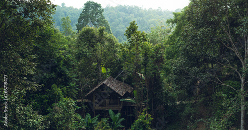 Fototapeta Naklejka Na Ścianę i Meble -  Wooden hut in the forest 