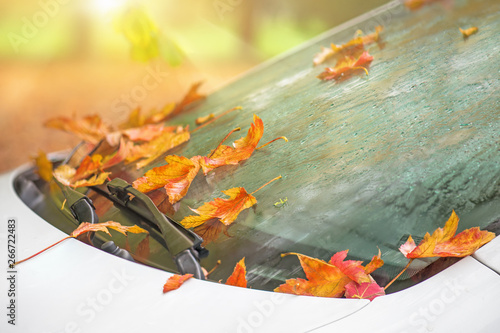 Das Laub ist am fallen und liegt auf der Windschutzscheibe mit Regentropfen von dem Auto