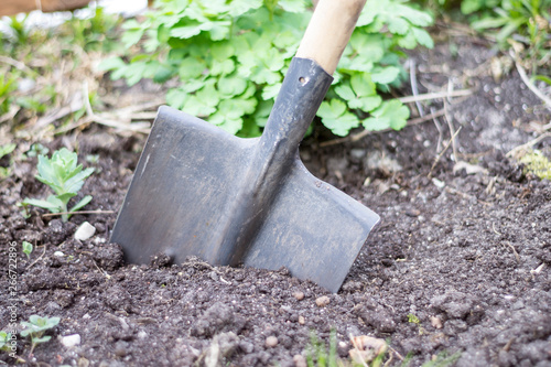 shovel on a bed with grass