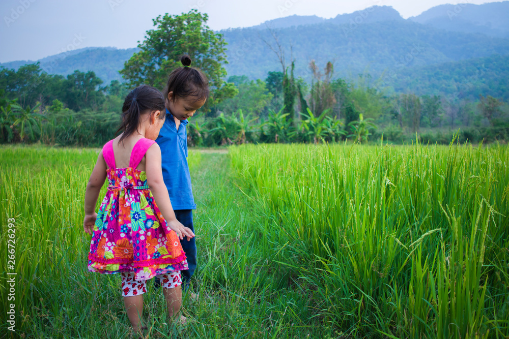 long hair boy and little girl playing in rice field. and a girl she scared a muddy.