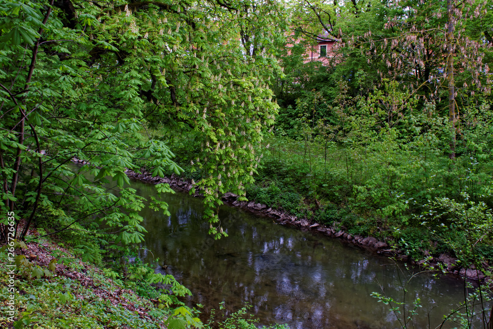 beautiful colors of nature in the spring Park beautiful colors of nature in the spring Park