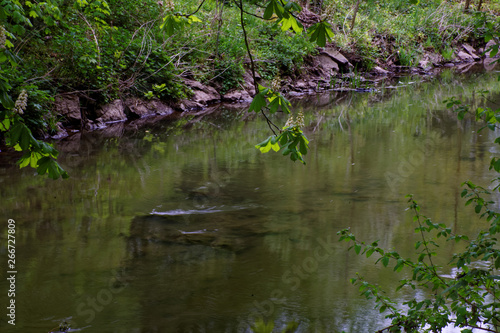 beautiful colors of nature in the spring Park