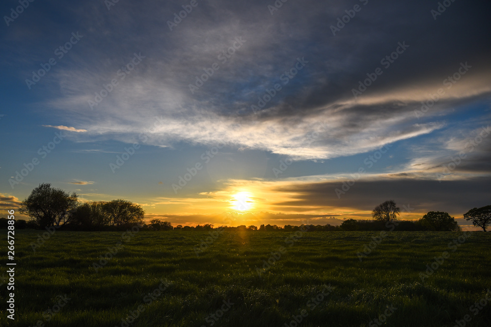 sunset over green field sunset over green field
