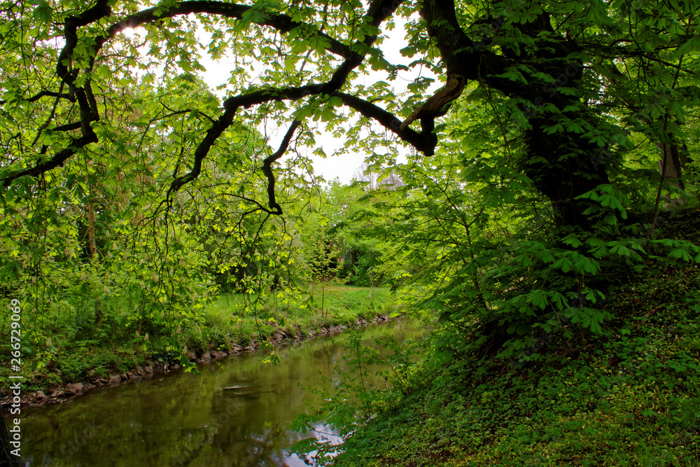 beautiful colors of nature in the spring Park beautiful colors of nature in the spring Park